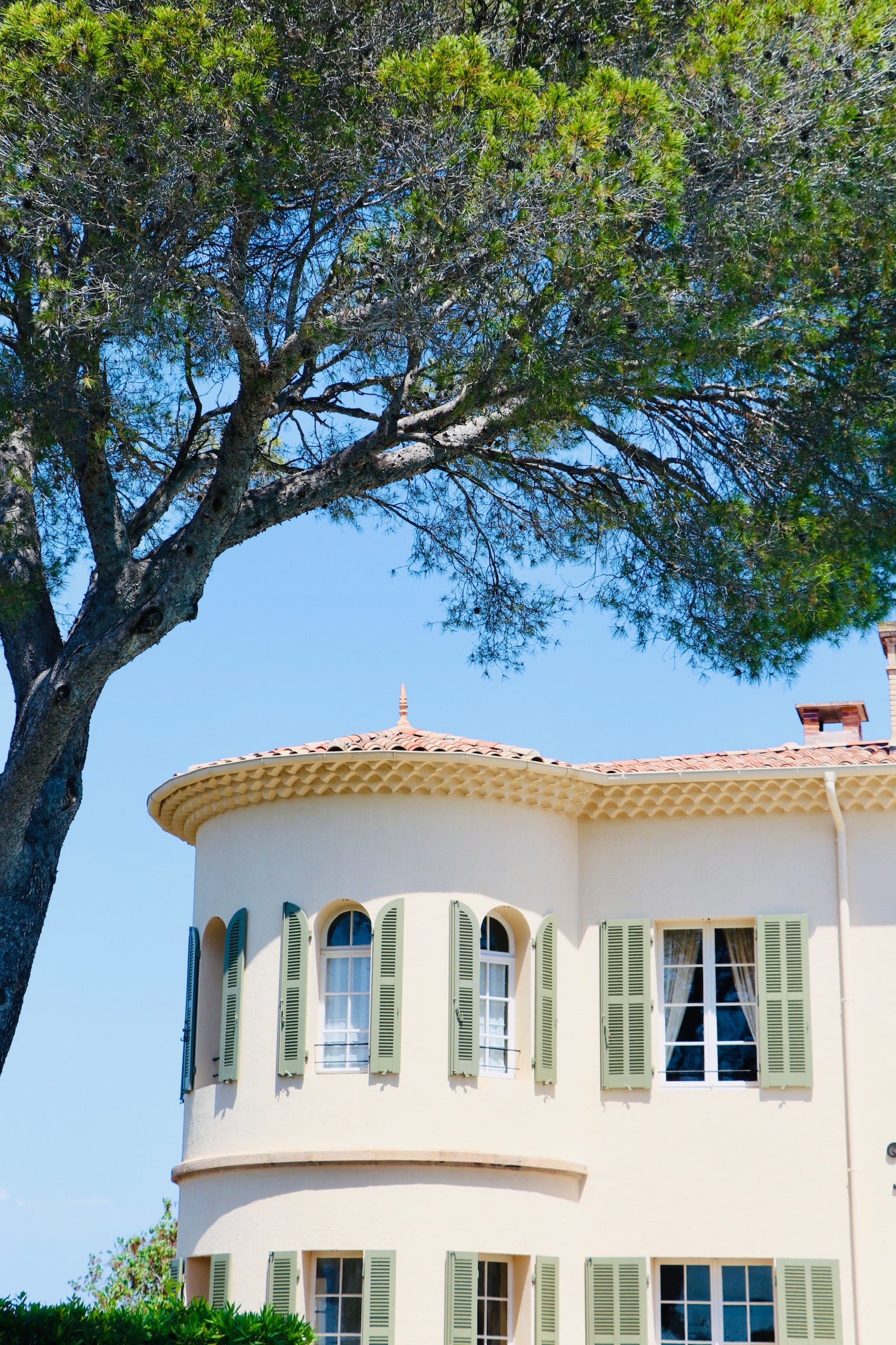 Villa méditerranéenne aux volets verts sous un pin parasol, ciel bleu ensoleillé.